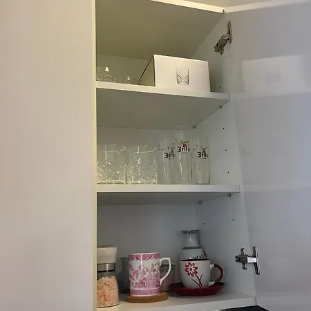 Apartment Mirochka